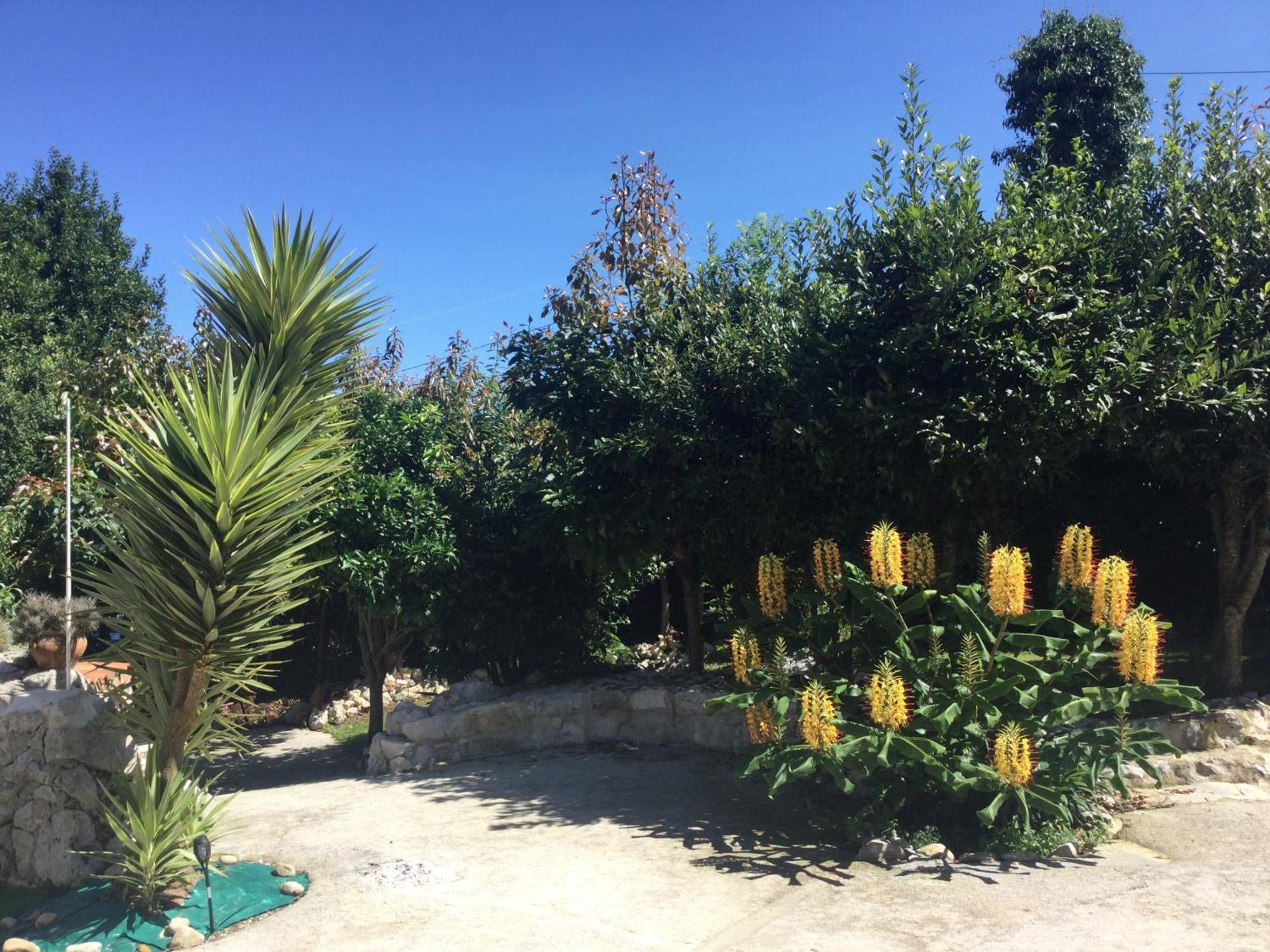 Casa Jardin Rocablanca Llanes Βίλα Celorio  Εξωτερικό φωτογραφία