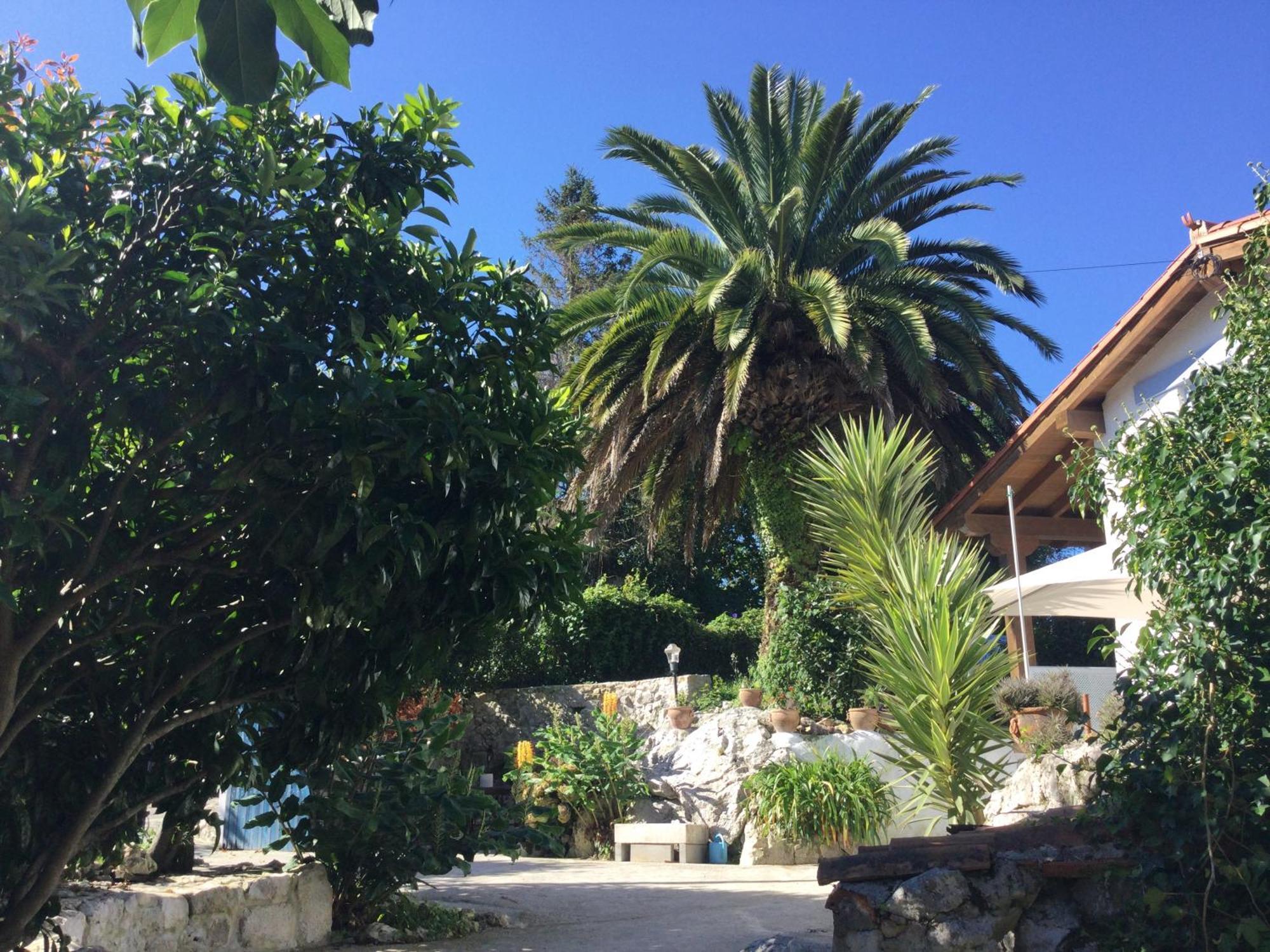 Casa Jardin Rocablanca Llanes Βίλα Celorio  Εξωτερικό φωτογραφία