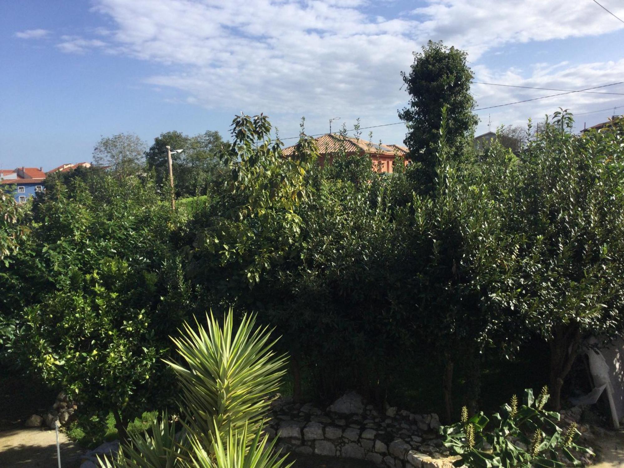 Casa Jardin Rocablanca Llanes Βίλα Celorio  Εξωτερικό φωτογραφία