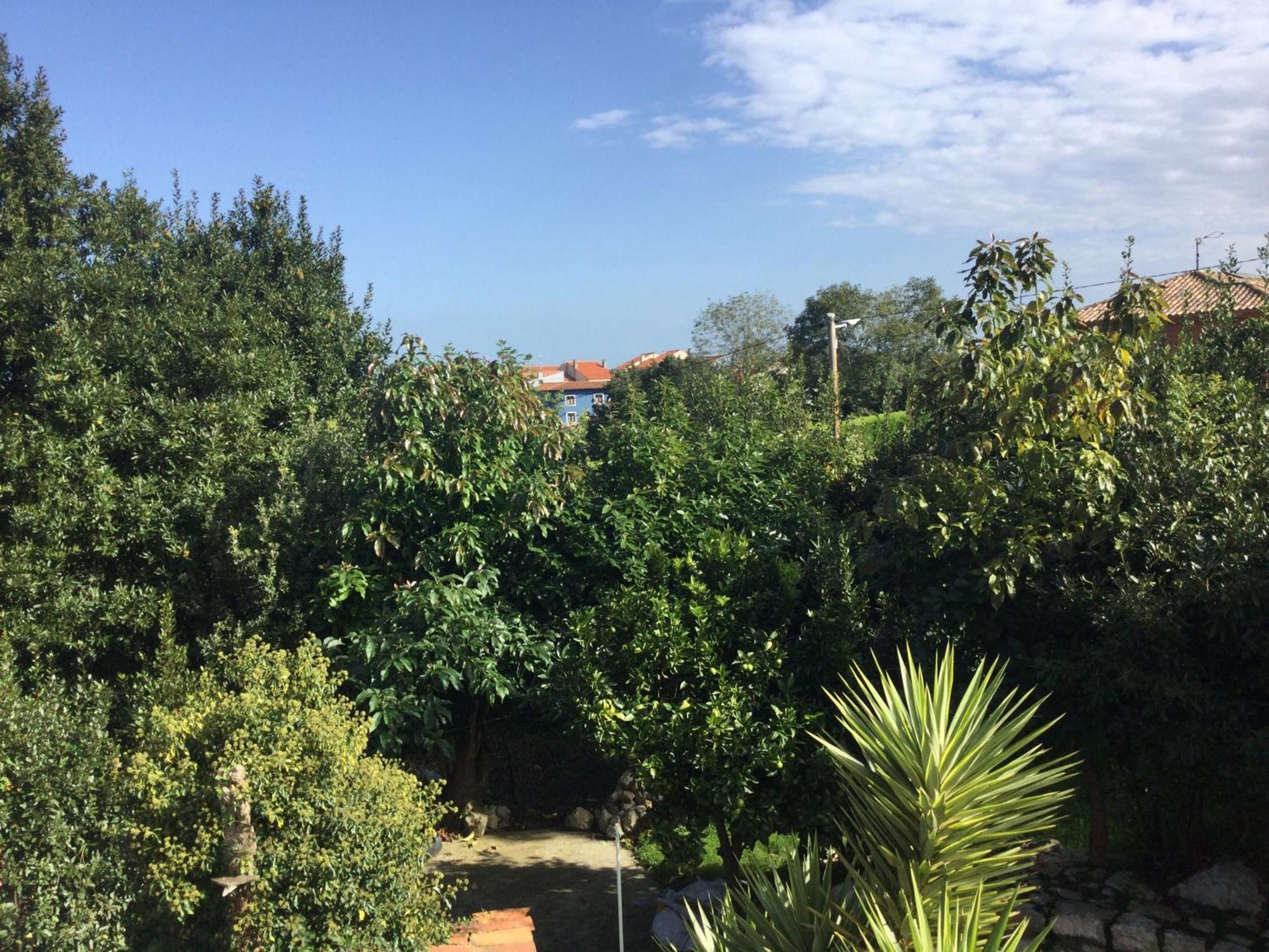 Casa Jardin Rocablanca Llanes Βίλα Celorio  Εξωτερικό φωτογραφία